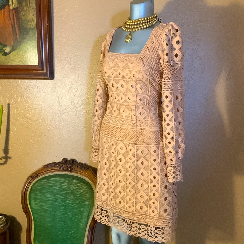 NWT 1901 Stone Guipure Blush Pink Dress.  Sz L